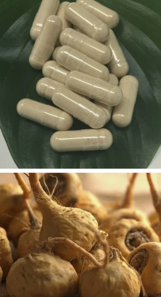 GINSENG (Energy Supplement)